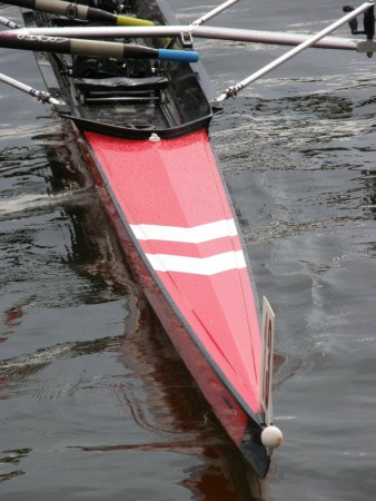 Elite Carbon 2x- Alu Wing Rig Poznan (2).jpg